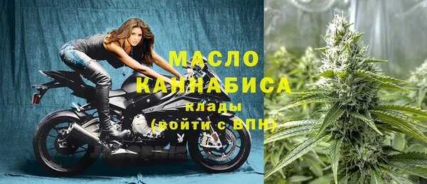 ECSTASY Пересвет
