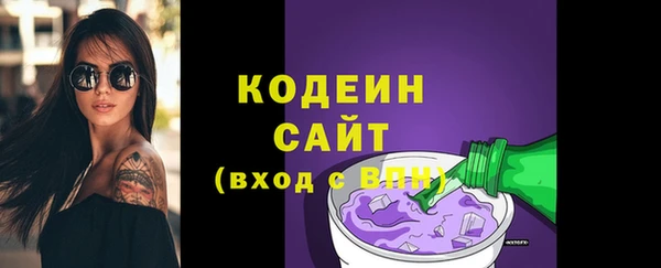 ECSTASY Пересвет