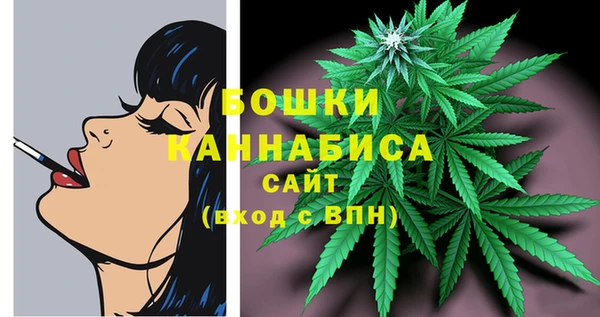 ECSTASY Пересвет