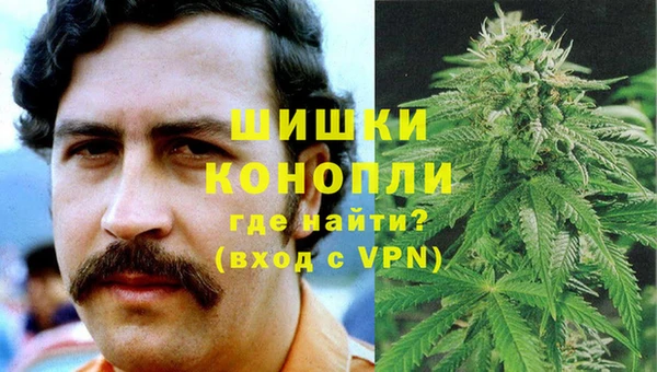 сатива Пестово