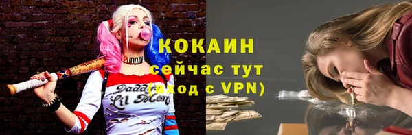 сатива Переславль-Залесский