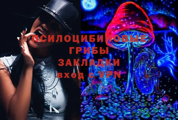 сатива Пестово