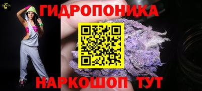 дживик Славгород