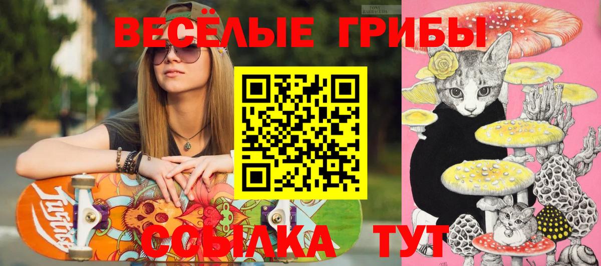 Псилоцибиновые грибы мицелий  Вход с VPN  Тюмень  Псилоцибиновые грибы мицелий 