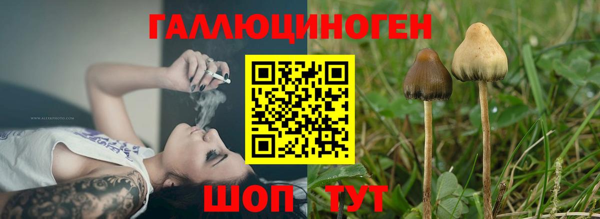 Галлюциногенные грибы MAGIC MUSHROOMS Тюмень